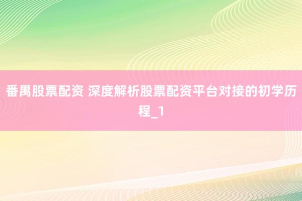 番禺股票配资 深度解析股票配资平台对接的初学历程_1