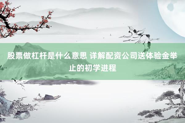 股票做杠杆是什么意思 详解配资公司送体验金举止的初学进程