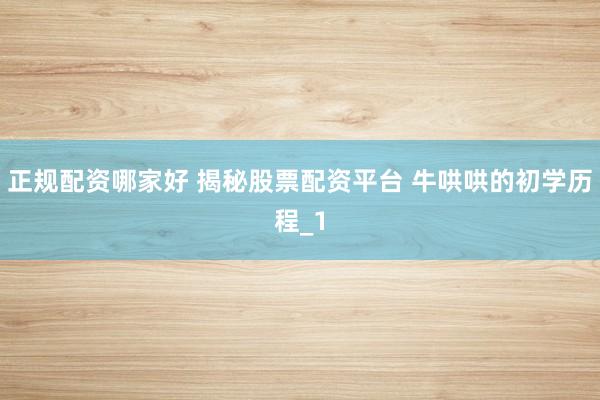 正规配资哪家好 揭秘股票配资平台 牛哄哄的初学历程_1